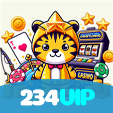 Segurança no 234VIP