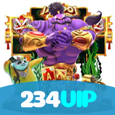 Segurança no 234VIP
