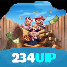 Login no 234VIP