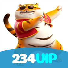 Login no 234VIP