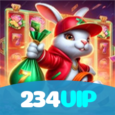 Segurança no 234VIP