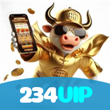 Problemas de Login no 234VIP