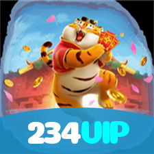 Segurança no 234VIP